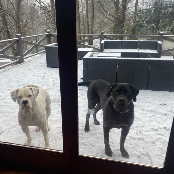 Meet your Posher, Brittney - Picture 4 of 16